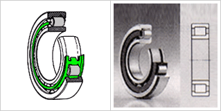 Cylindrical Roller Bearing