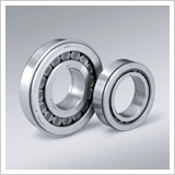 Cylindrical Roller Bearing